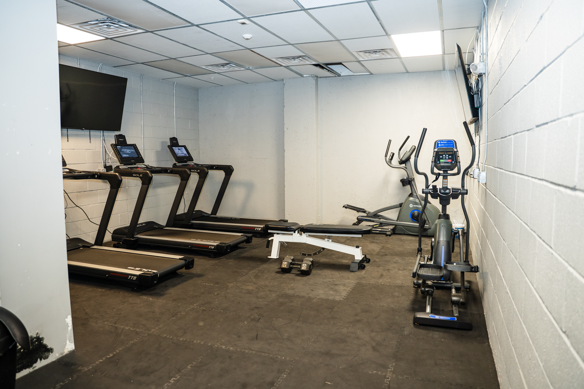 Evergreen exterior gate and parking